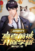 战宠时代：高考前被开除学籍